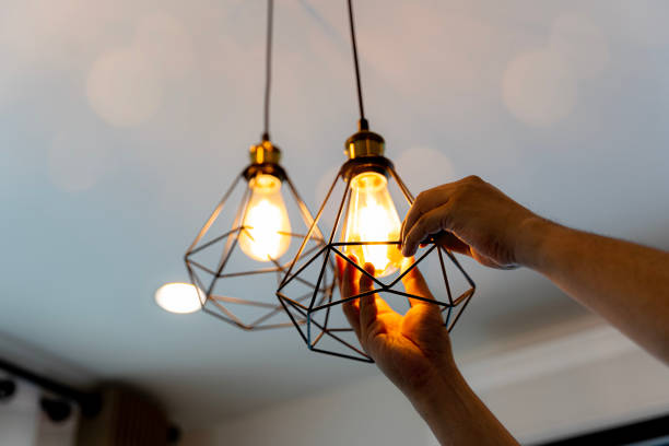 Best Outdoor Lighting Installation  in South Milwaukee, WI
